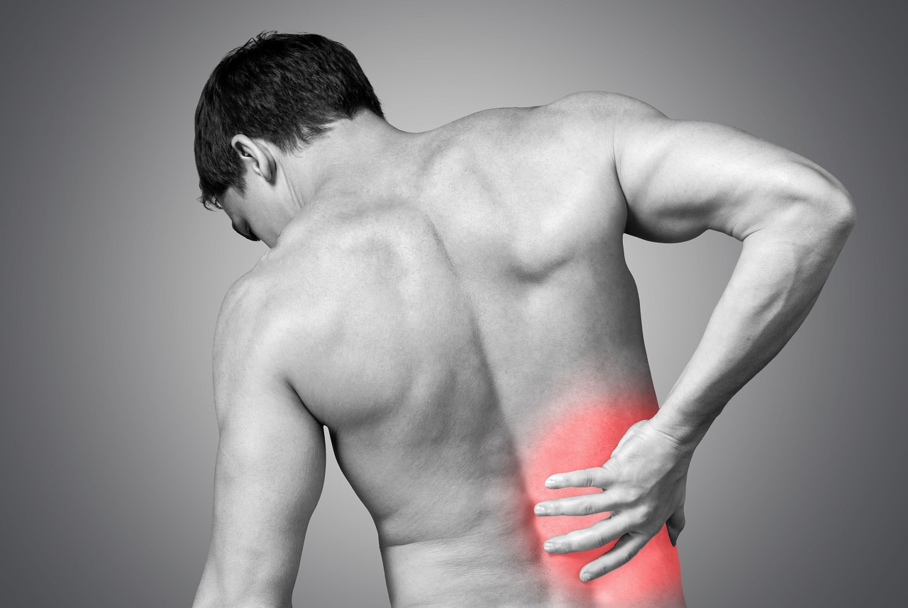 Боль в спине: понятно, спокойно, по делу - 3
